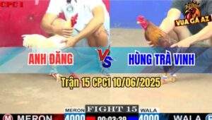 Trận 15 CPC1 10/6/2025 - Gà Úa Anh Đăng Canh Chặn, Phang Khét Xì Cơm