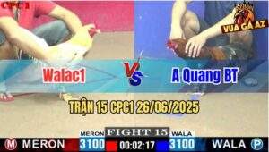 Trận 15 CPC1 26/06/2025 - Đội WALAC1 Vs Anh Quang Bến Tre