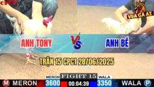 Trận 15 CPC1 28/06/2025 - Gà Bướm Siết 3 Chân Hạ Gọn Đối Thủ Chấp Láo