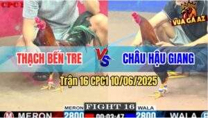 Trận 16 CPC1 10/6/2025 - Anh Thạch Bến Tre Và Anh Châu Hậu Giang