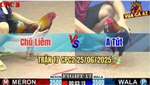 Trận 17 CPC2 25/06/2025 - Gà Chú Liêm Lội Ngược Dòng Thành Công