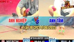 Trận 18 CPC1 9/6/2025 - Bướm Anh Tâm Đâm Gà Vàng Không Bỏ Chân Nào