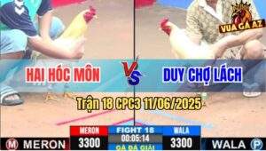 Trận 18 CPC3 11/6/2025 - Anh Hai Hóc Môn Gặp Anh Duy Chợ Lách