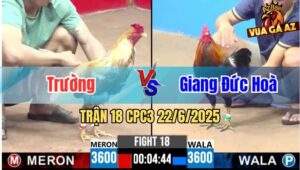 Trận 18 CPC3 22/06/2025 - Gà Điều Anh Giang Đức Hoà Đâm Như Cái Máy