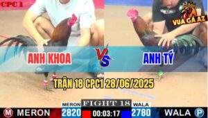 Trận 18 CPC1 28/06/2025 - Gà Anh Khoa Đè Bạc Bị Gà Anh Tý Đá Cúp Điện