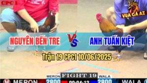 Trận 19 CPC1 10/6/2025 - Gà Điều Anh Nguyên Bến Tre Có Chân Trời Đánh
