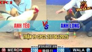 Trận 19 CPC2 27/06/2025 - Gà Anh Long Quá Hừng Nạp 3 Hạ Gọn Đối Thủ