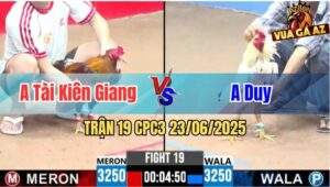 Trận 19 CPC3 23/06/2025 - Gà Khét Tài Kiên Giang Nạp Vài Chân Lụm Lúa