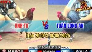 Trận 20 CPC1 10/6/2025 - Khét Cọp Anh Tư Đá Bông Anh Tuấn Chạy Bay Bồ