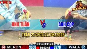 Trận 21 CPC2 27/06/2025 - Gà Bông Anh Tuấn Nhập 2 Chân Đâm Que Ói Chết