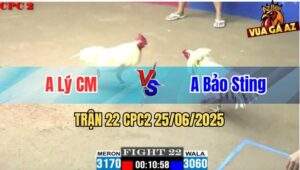 Trận 22 CPC2 25/06/2025 - Anh Lý Cà Mau Làm Thịt Anh Bảo Sting