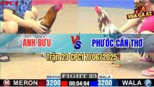 Trận 23 CPC1 7/6/2025 - Bướm Đột Biến Anh Phước Bị Đá Biến Dạng Luôn