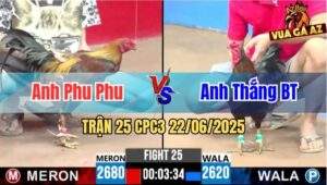 Trận 25 CPC3 22/06/2025 - Thắng Bến Tre Đá 1 Tay Nước Hạ Phu Phu