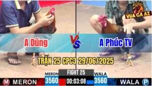 Trận 25 CPC3 29/06/2025 - Anh Phúc Trà Vinh Hạ Đẹp Anh Dũng