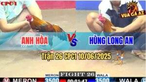 Trận 26 CPC1 10/6/2025 - Gà Điều Anh Hòa Đá Bạc Còn Ăn 2 Nhơ Nhà Chạy