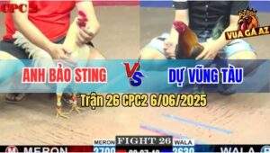 Trận 26 CPC2 6/6/2025 - Bướm Hiệu Anh Bảo Sting Bao Đâm