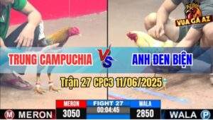 Trận 27 CPC3 11/6/2025 - Gà Điều Anh Trung Campuchia Đá Bo Như Cây Đập