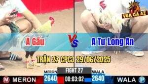 Trận 27 CPC3 29/06/2025 - Gà Anh Gấu Đá Đòn Cựa Quá Hiểm Hóc