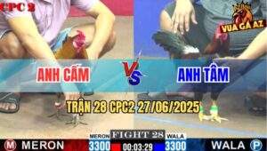 Trận 28 CPC2 27/06/2025 - Gà Điều Anh Tâm Nạp 3 Chận Hạ Gà Đẹp Anh Cấm
