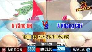 Trận 29 CPC3 29/06/2025 - Anh Vàng Đức Hoà Và Anh Khang CR7