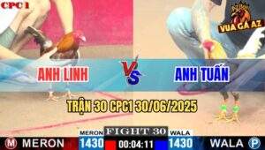 Trận 30 CPC1 30/06/2025 - Gà Cú Anh Tuấn Bươi Chà Tải Cựa Quá Lực