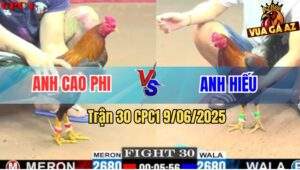 Trận 30 CPC1 9/6/2025 - Anh Cao Phi Nối Dài Chuỗi Thắng Lên 5