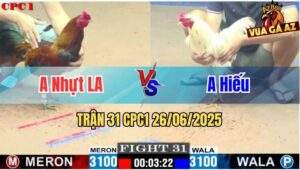 Trận 31 CPC1 26/06/2025 - Gà Anh Hiếu Đá Đúng 1 Tay Nước