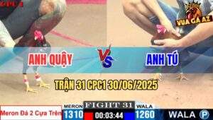 Trận 31 CPC1 30/06/2025 - Gà Điều Hơn 50g Đá 2 Cây Trên Bị Đá Lật Xe