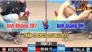 Trận 31 CPC3 22/06/2025 - Anh Khang CR7 Gặp Anh Giang Đức Hoà