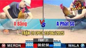 Trận 31 CPC3 23/06/2025 - Gà Anh Bằng Đá Canh Chặn Khéo Léo