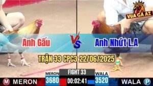 Trận 33 CPC3 22/06/2025 - Anh Gấu Hạ Gọn Anh Nhứt Long An