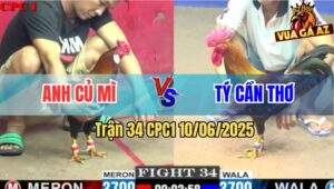 Trận 34 CPC1 10/6/2025 - Gà Anh Tý Đá Gà Anh Củ Mì Té Xong Bỏ Chạy