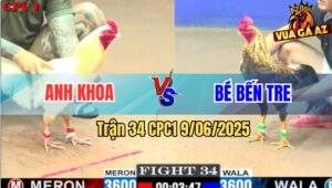 Trận 34 CPC1 9/6/2025 - Gà Cú Anh Bé Đá Bại Liệt Gà Úa Anh Khoa