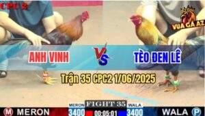 Trận 35 CPC2 1/6/2025 - Cú Lửa Anh Tèo Đen Thành Cú Tẻo Sau 1 Tay Nước