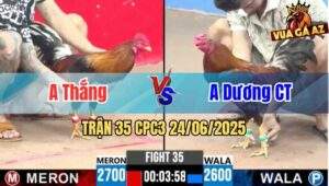 Trận 35 CPC3 24/06/2025 - Gà Anh Dương Cần Thơ Đá Quá Tốc Độ