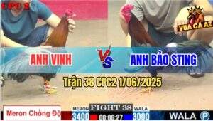Trận 38 CPC2 1/6/2025 - Ông Hoàng Wala Thử Thách Với Kèo Khó
