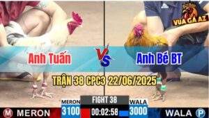 Trận 38 CPC3 22/06/2025 - Gà Anh Tuấn Đá Đúng 1 Tay Nước