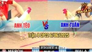 Trận 4 CPC2 6/6/2025 - Gà Úa Anh Tèo Trước Khi Chết Có Chân Cứu Chủ
