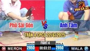 Trận 4 CPC3 22/6/2025 - Anh Phúc Sài Gòn Và Anh Tâm, Bất Phân Thắng Bại