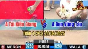 Trận 4 CPC3 23/06/2025 - Gà Anh Tài Kiên Giang Đá Đúng 2 Tay Nước