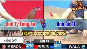 Trận 43 CPC3 22/06/2025 - Gà Điều Anh Tý Long An Chồng Độ 3