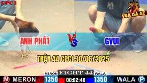 Trận 44 CPC1 30/06/2025 - Gà Anh Phát Đóng Hòm Đối Thủ Sau 3 Chân