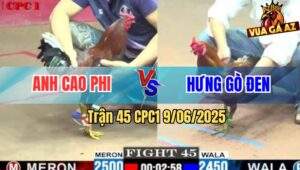 Trận 45 CPC1 9/6/2025 - Anh Cao Phi Hạ Đẹp An Hưng Gò Đen
