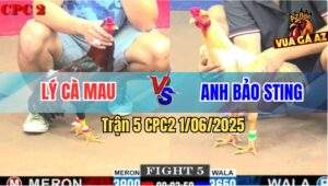 Trận 5 CPC2 1/6/2025 - Anh Lý Cà Mau Phục Thù Anh Bảo Sting Thành Công