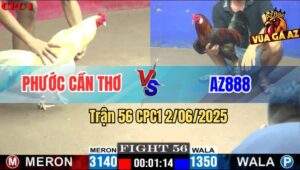 Trận 56 CPC1 2/6/2025 - Điều AZ888 Đá Bướm Anh Phước Đứng Không Nổi