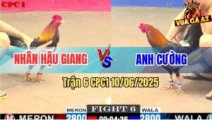 Trận 6 CPC1 10/6/2025 - Việt Lai Anh Nhân Chống Siêu Mỹ Bất Thành
