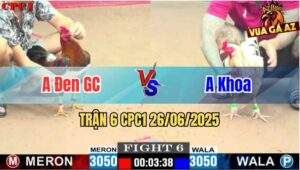 Trận 6 CPC1 26/06/2025 - Gà Anh Đen Gò Công Đá Gà Anh Khoa Bỏ Chạy