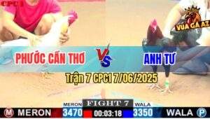 Trận 7 CPC1 7/6/2025 - Điều Chân Trắng Đá Úa Anh Phước Đứng Không Nổi