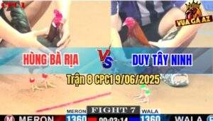 Trận 8 CPC1 9/6/2025 - Gà Mái Lại Anh Hùng Bà Rịa Đâm Cựa Như Máy