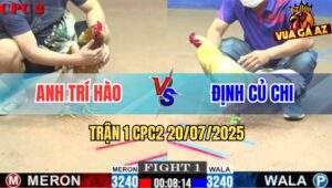 Trận 1 CPC2 20/7/2025 - Bướm Anh Định Củ Chi Bị Đá Lọt Bọng Bung Chạy